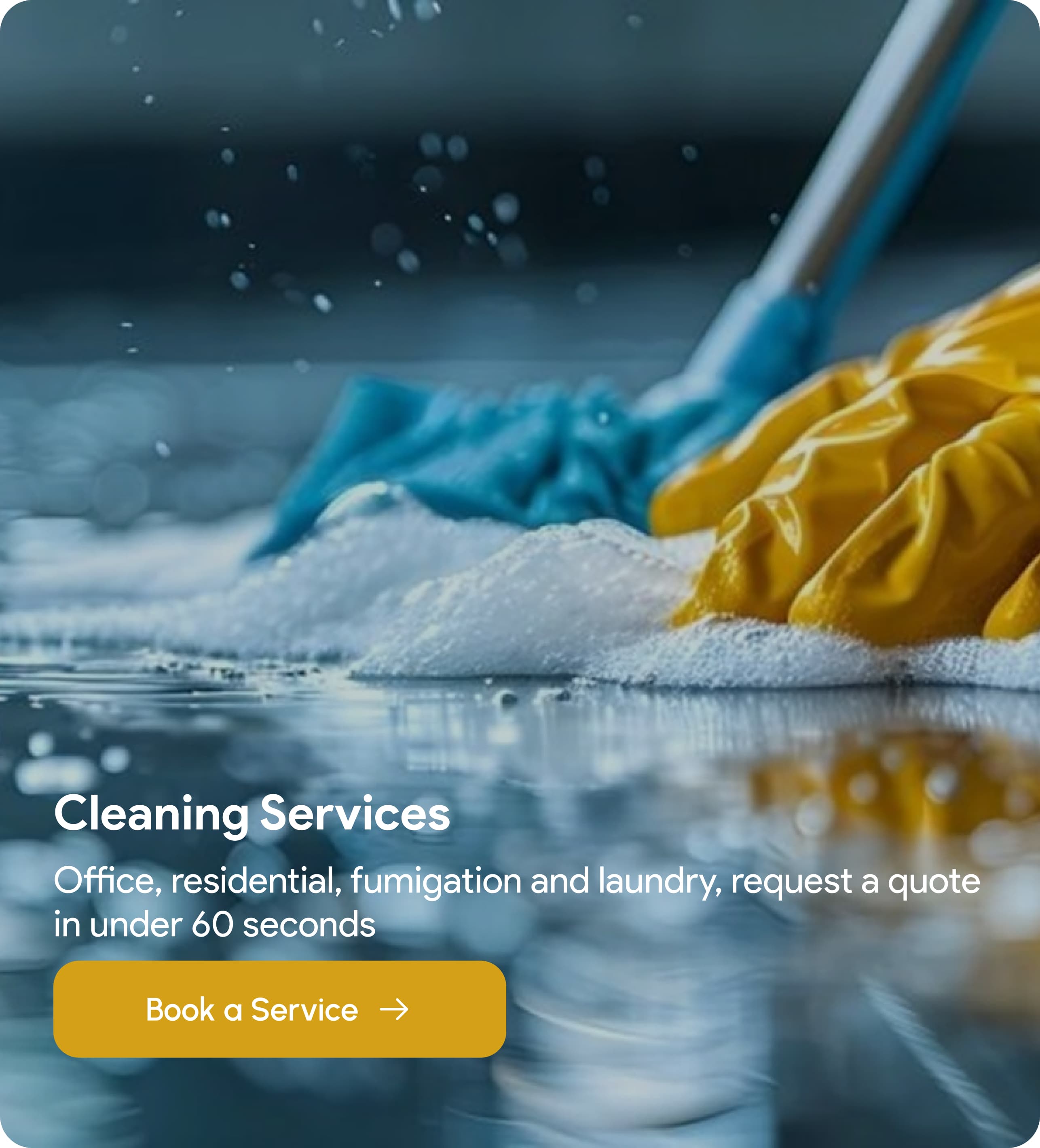 Cleaning Services